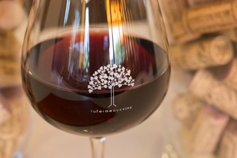 Ibis Beaune La Ferme Aux Vins Esterno foto